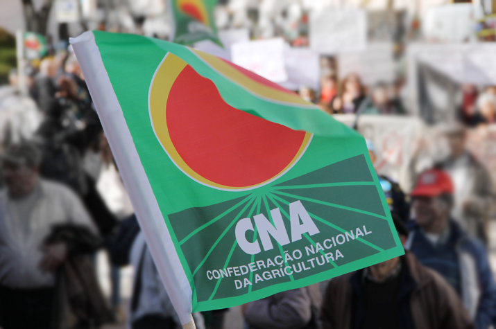 CNA não passa cheques em branco e por isso não subscreve Pacto para a